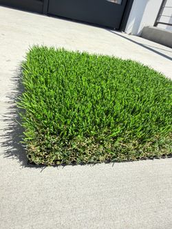 106oz Synthetic Grass