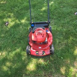 Toro  Self Propelled Mower. Serviced Yearly, works great just turned it on!!