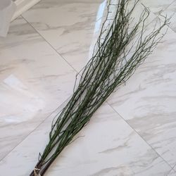 47in Green Coated Reeds Bundle x10 Branches/Stems
