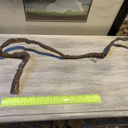 Aquarium/reptile Decor