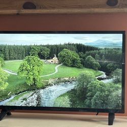 Insignia TV 32” LED HD Smart with Fire stick