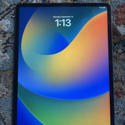 iPad Pro 3rd Gen 12.9 256 GB