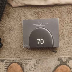 Google Nest Thermostat (4th Gen)