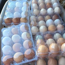 Tengo Huevo De Venta Por Si Gustan