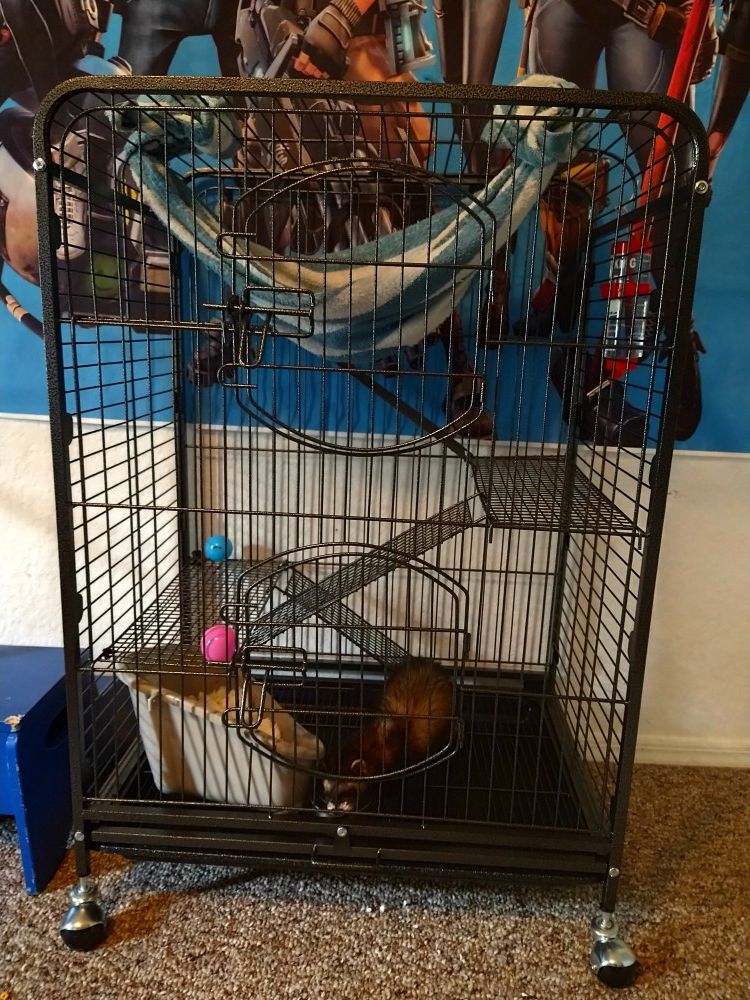 Animal/Bird cage