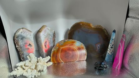 Vibrant Crystal & Mineral Decor Collection – Agate Slices, Geode Towers & White Coral