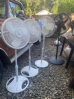 Fans