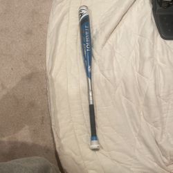 Baseball Bat