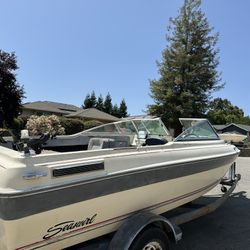 1989 Seaswirl Sierra classic