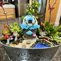 Mother’s Day Succulent Gifts