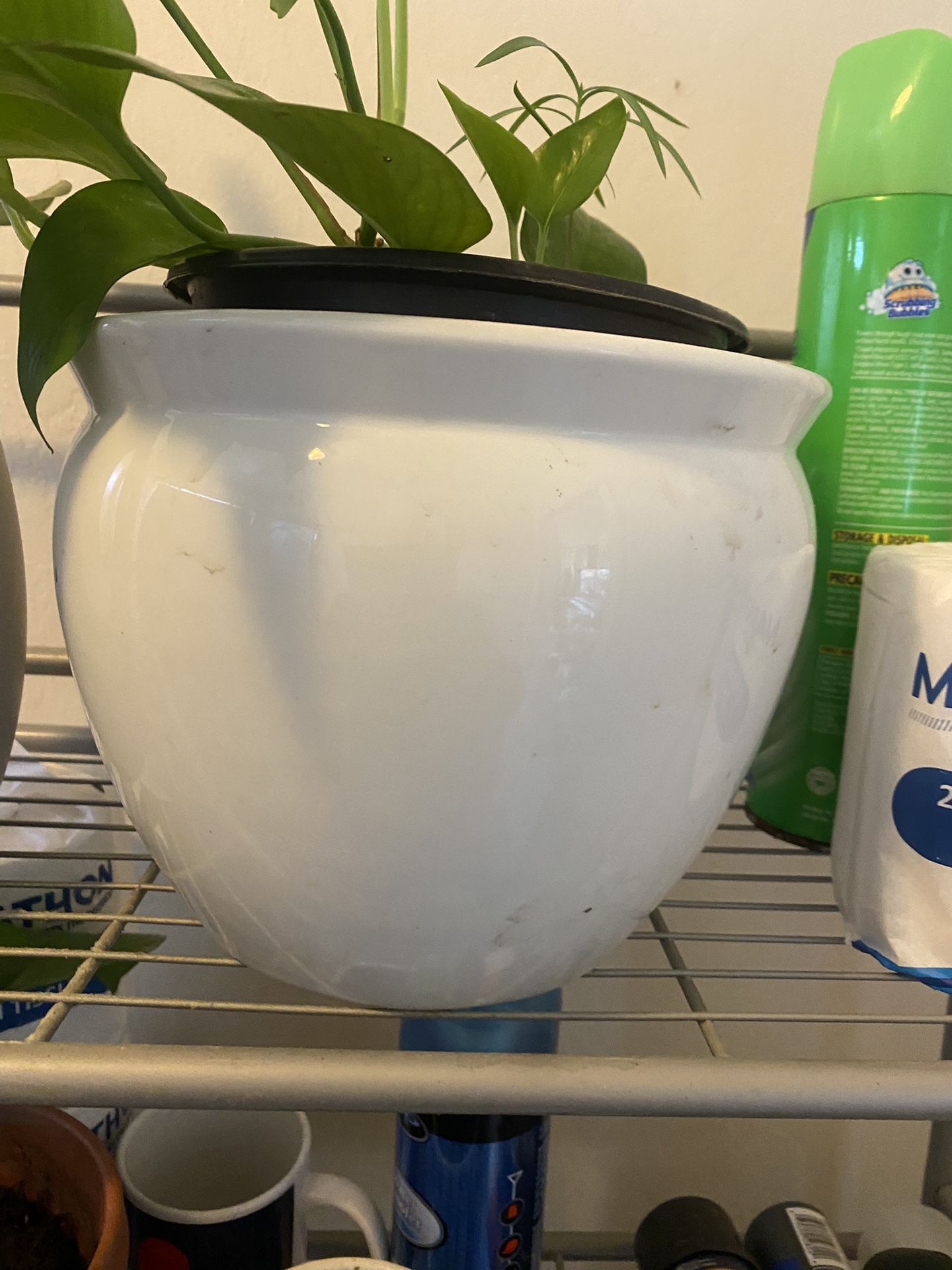 Clay Ceramic Plant Pot 1’x1’ New