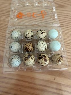 Fresh Quail Eggs – 12 Count