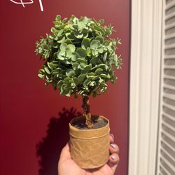 Small Fake Tree Decor For Home Or Bathroom 