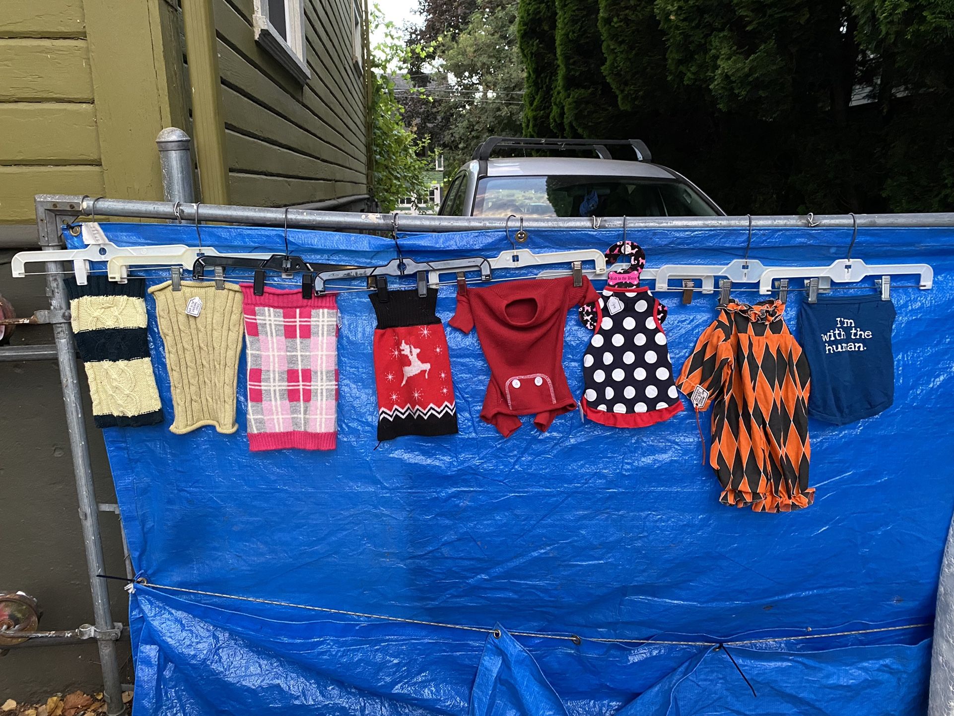 11-13lb Fur baby Starter Wardrobe