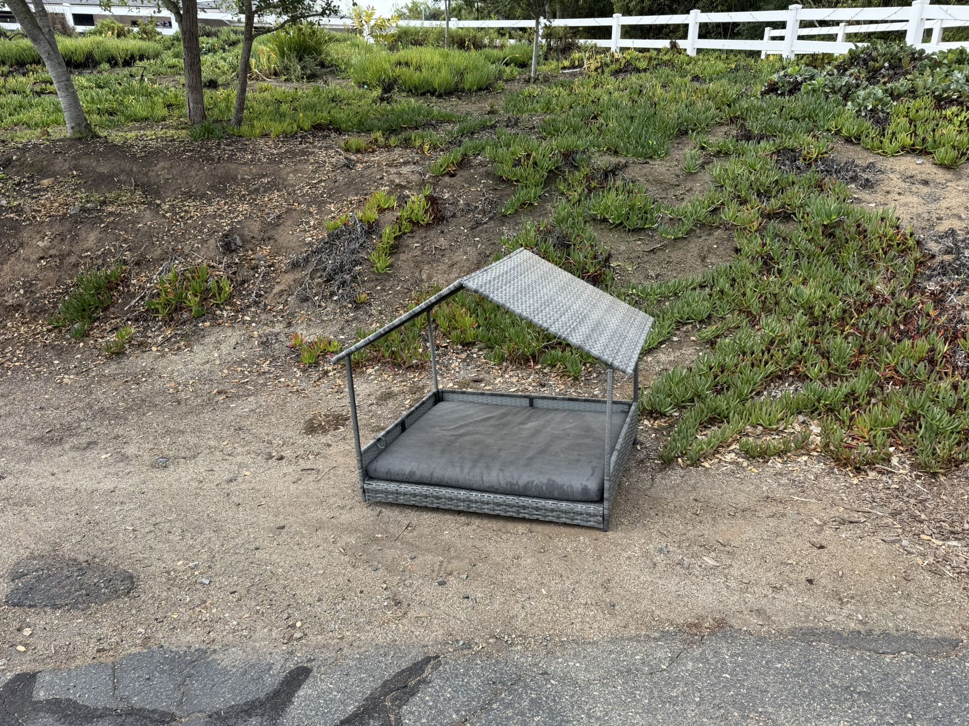 Free! Outdoor Dog Bed With Sun Roof  
