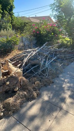 Free wood, dune wood, camp fire wood