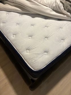 King Mattress Serta Perfect Sleeper Adoring Night Plush Euro Top