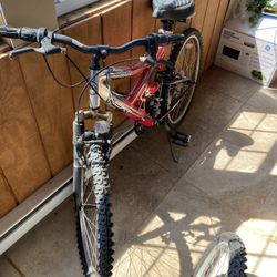 Next Mountian/ Trail Bikes 