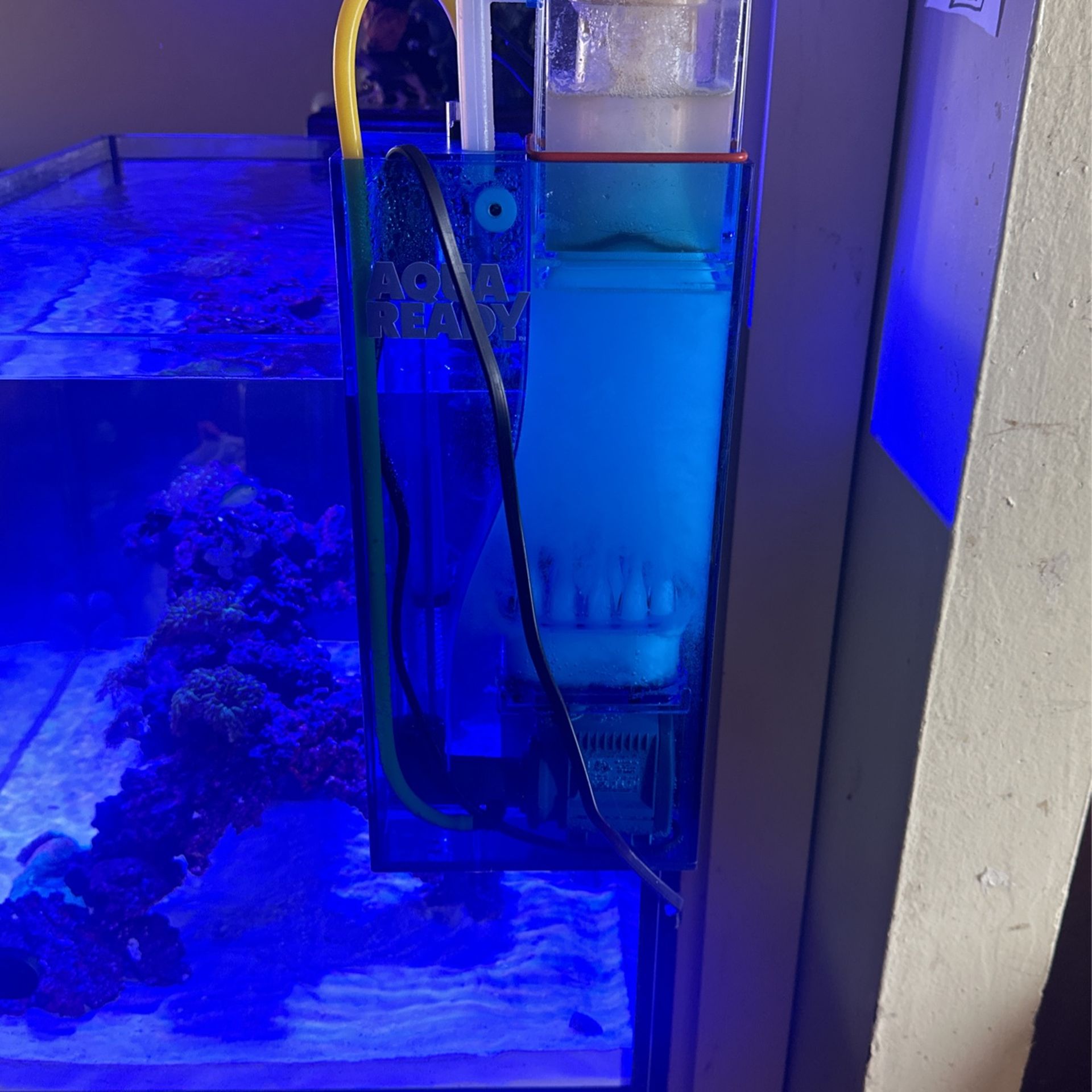 Protein Skimmer For Fish Tank