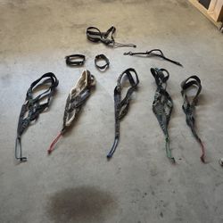 Dog Harness 