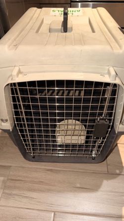 Dog kennel