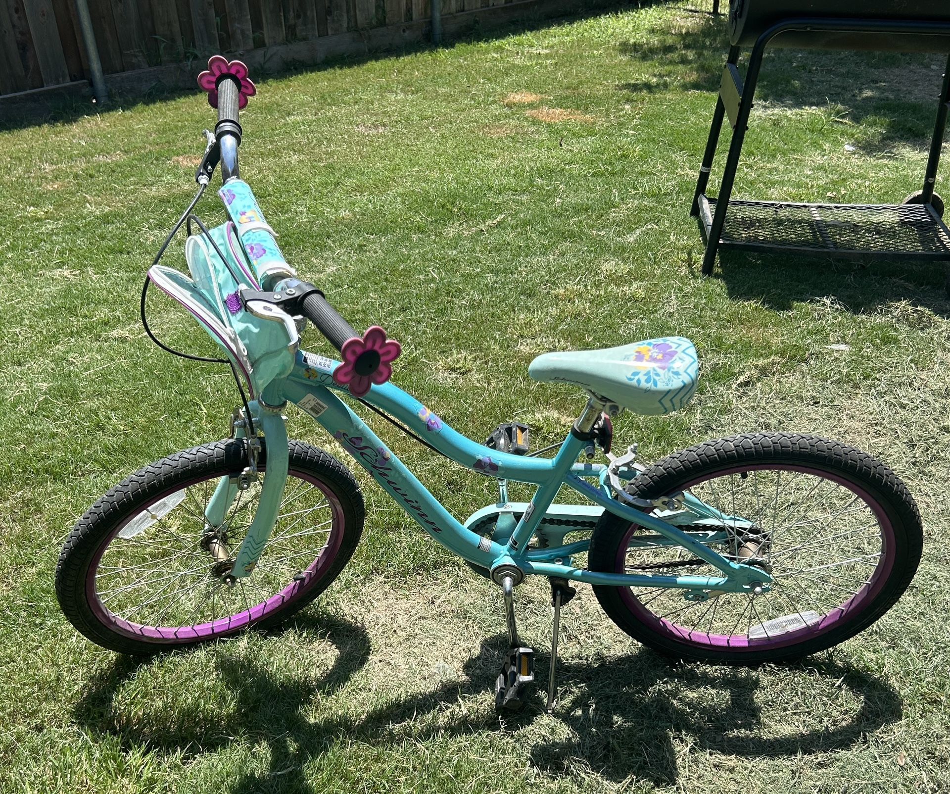 20” Girls Schwinn Bike