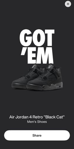 Jordan 4s