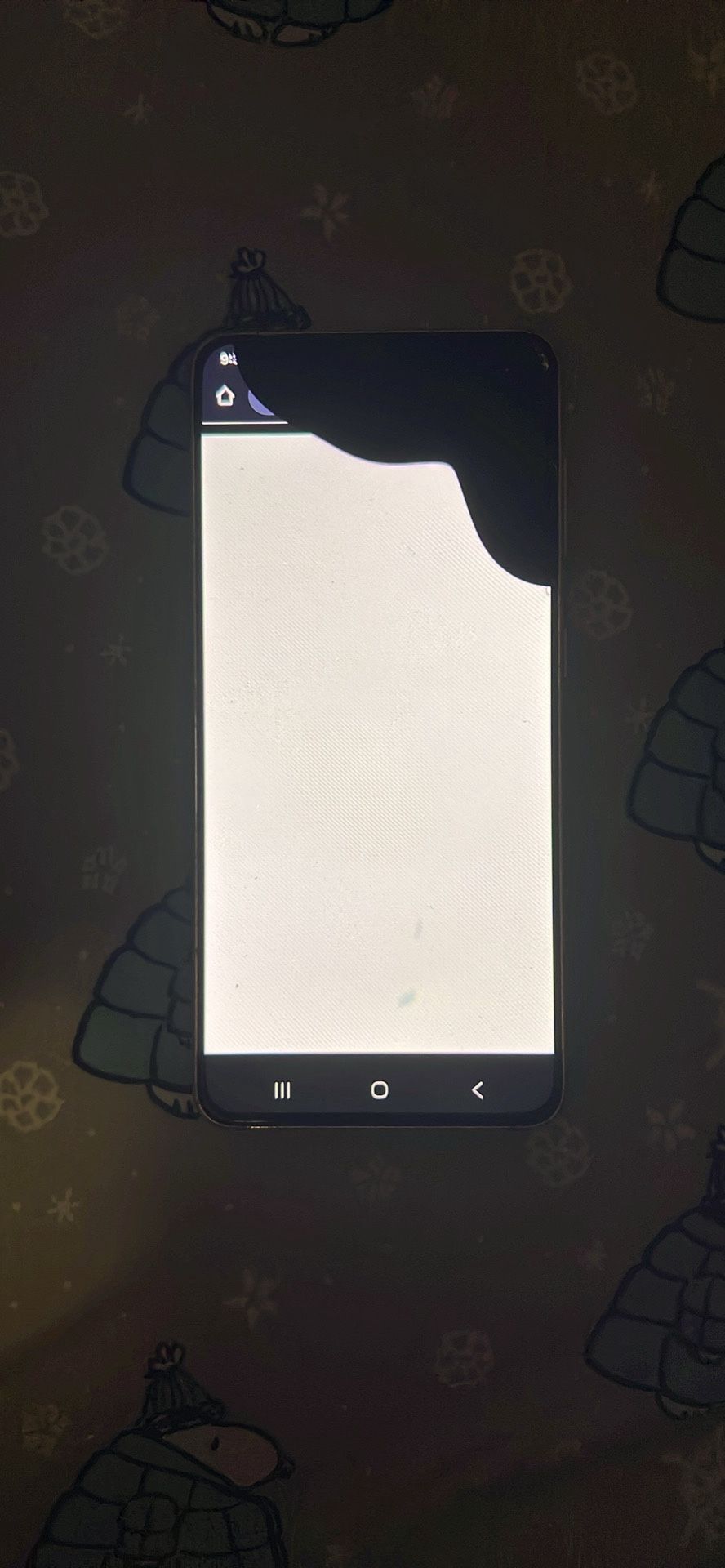 Samsung S21 5G (WORKS)