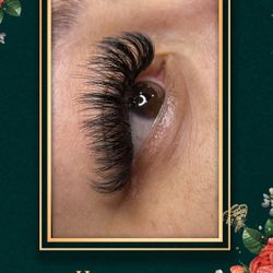Lash Supplies Lash Extensions