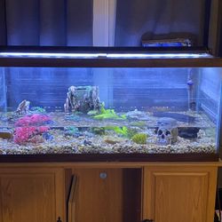 70g Fish Tank with Stand