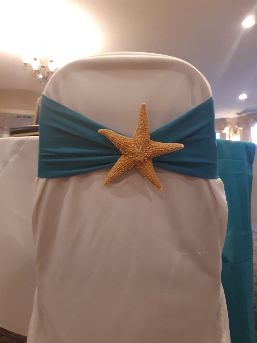Resin Starfish Chair Pins