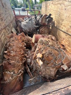 FREE PALM TREE TRUNKS WHITTIER LA HABRA FULLERTON