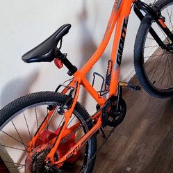 24" Giant Bike