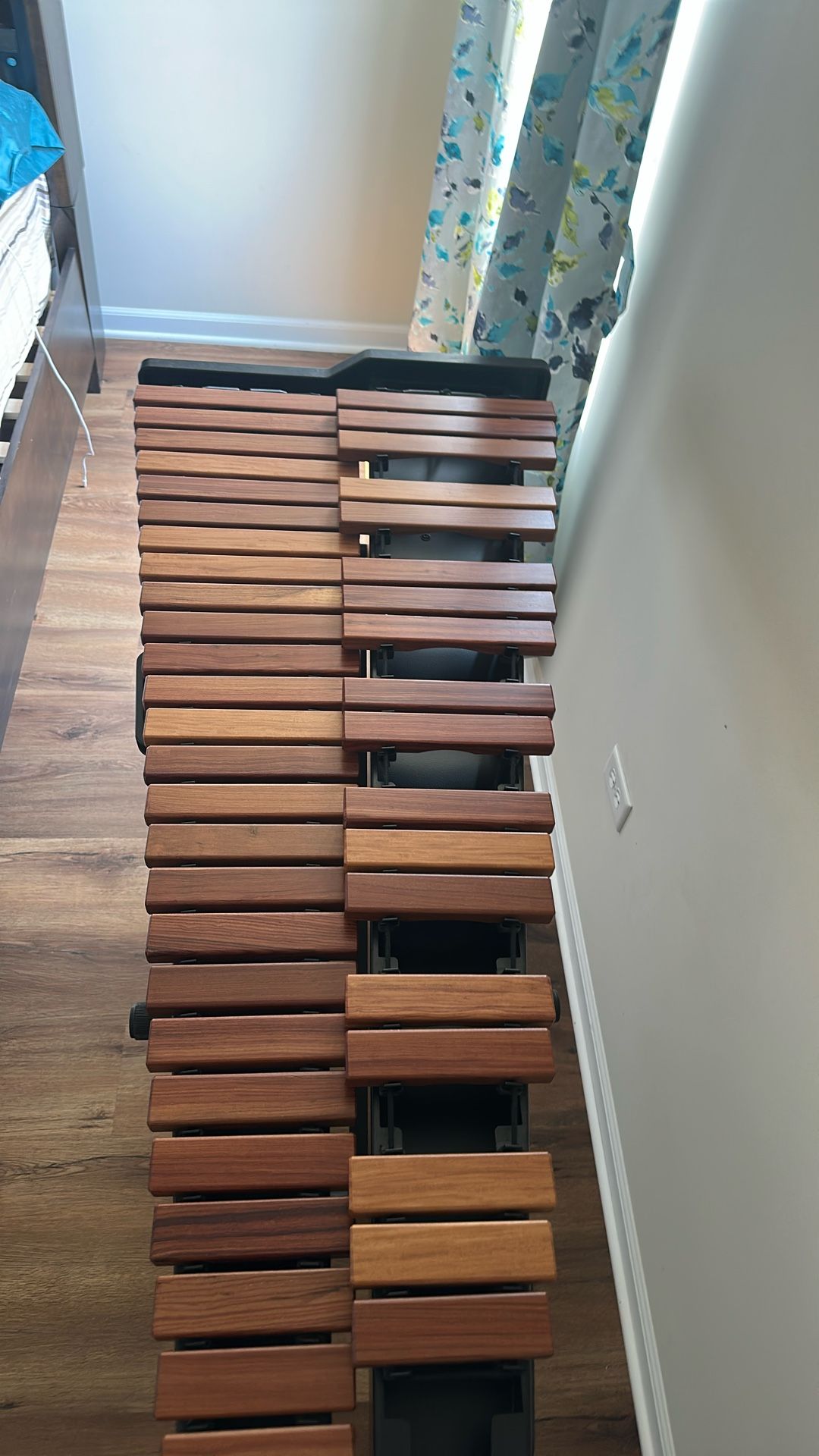 Adam’s xylophone