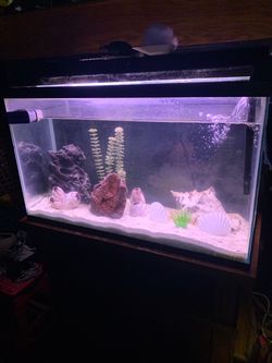 30 Gallon Fish Tank Aquarium