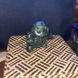 Jade Pokémon