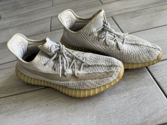 Yeezy Size 10