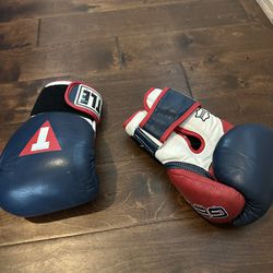 Title Boxing Gloves 