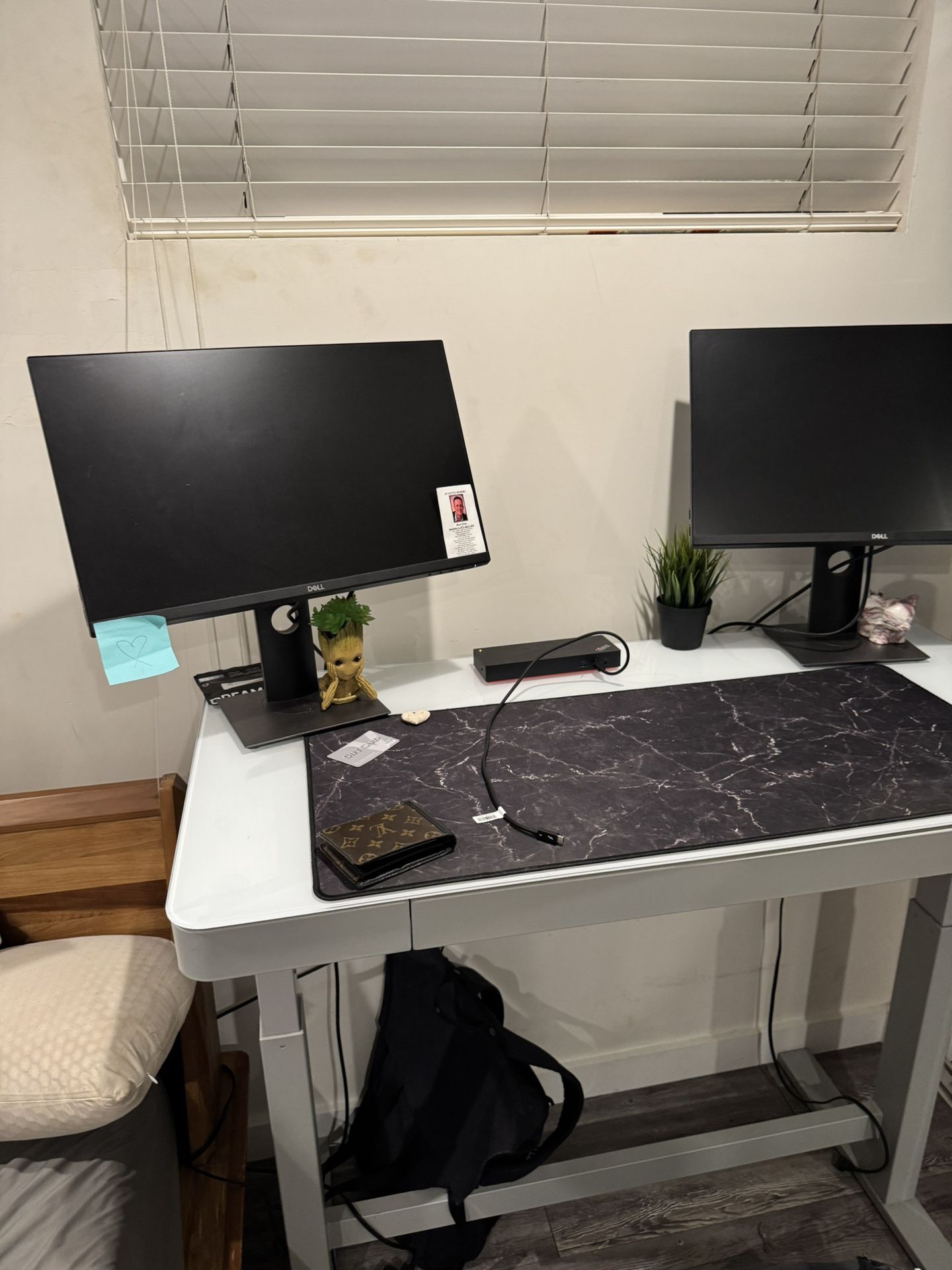 Dell Computer Monitor 24” Dual