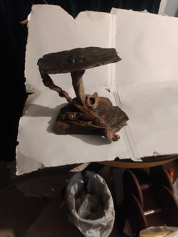 Reptile Accessories