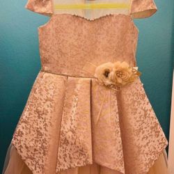 New Fancy Dress For A Girl