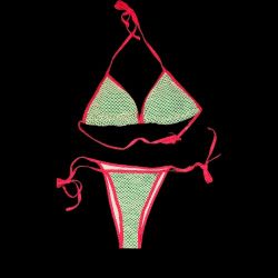 New Net Like 2-piece Bikini Swimsuit Set 