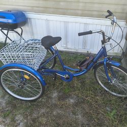 Adult Trike $150