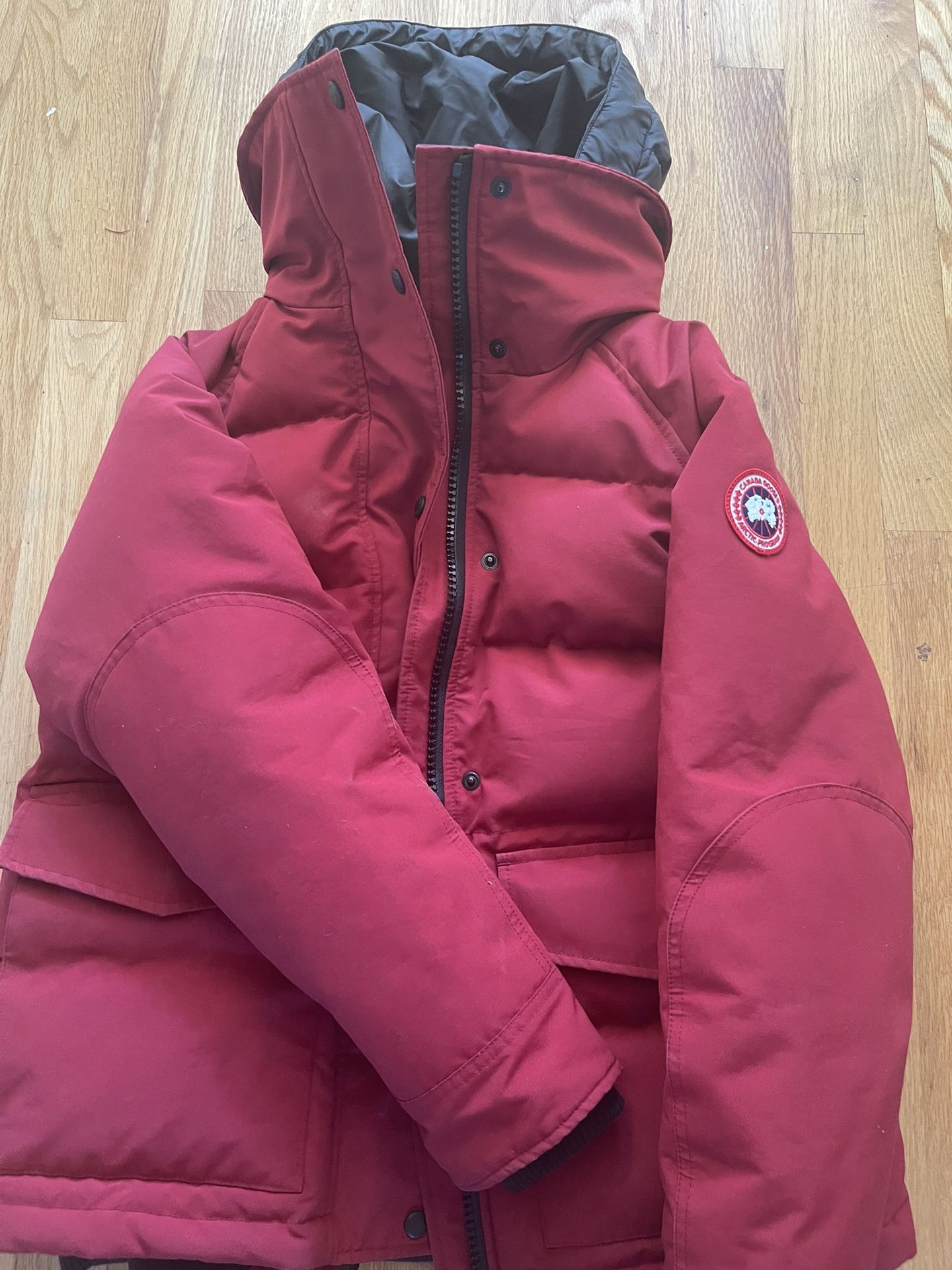 Canada Goose (small)