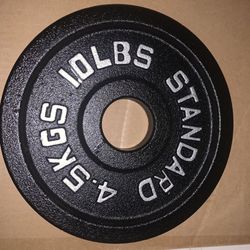 🔥10 lbs Olympic Weight Plate 2-Inch Insert Pair - New (20lbs Total) 💪🏋️