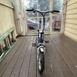 Electric Bike