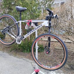 Cannondale Lefty Bicycle