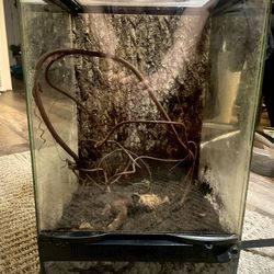 Tall Terrarium / Tank