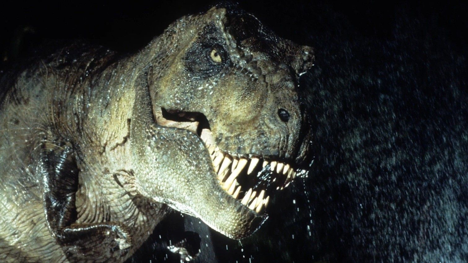 NEW JEWELRY FOSSILS NECKLACES