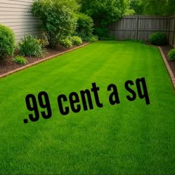 artificial grass NEW  (temecula 